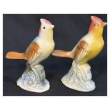 (D) Vintage Mid Century Royal Copley Multicolor