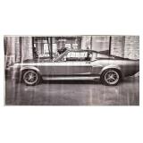 (G) 28ï¿½ X 55ï¿½ Canvas Poster As Pictured