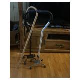 Lot containing three canes