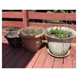 3 Assorted Flower Pots-2 Are Very Large