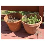 2 Assorted Flower Pots
