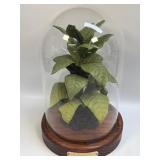 (D) Faux Flue-Cured Tobacco Plant Doug Mangum