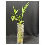 Crystal Cut Vase 12' w/ Bamboo