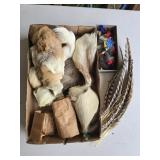 Feathers & Fur Pieces