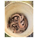 17 Horseshoes in Bucket