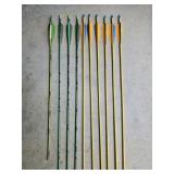 10 Aluminum Arrows