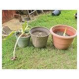 3 Flower Pots w/ Flowers