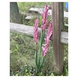 33' Metal Flower Yard Decor