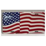America Flag License Plate
