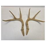 (E) Plastic Deer Antlers for Archery Target
