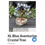 V - LOT OF 2 "JADE" TREES (E3)