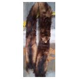 311 - FUR STOLE (K61)