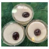 311 - LOT OF GARNET GEMSTONES (J25)