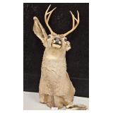 311 - TAXIDERMY DEER HEAD (AS IS) (Z156)