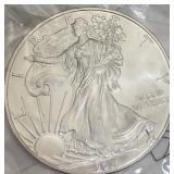 U - 2014 SILVER EAGLE