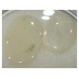 3.50CT OPAL GEMSTONES