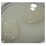 3.45CT OPAL GEMSTONES