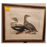 F - FRAMED ART 35X30" (R50)