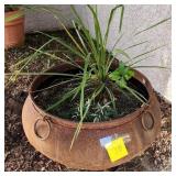 F - TERRACOTTA PLANTER POT WITH PLANT (Y8)