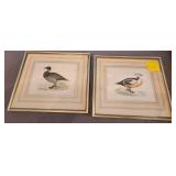 F - TWO PIECES FRAMED ART 16X19" (L41)