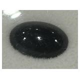 6.34CT CABOCHON SAPPHIRE GEMSTONE