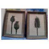 43 - FRAMED BOTANICAL WALL ART SET (B151)