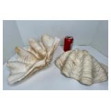 PAIR OF LARGE VINTAGE CLAM SHELLS