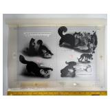 VERY RARE ORIGINAL 1950 DISNEY'S C.V. CINDERELLA