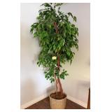 D - FAUX FICUS TREE IN BASKET PLANTER 85'T (L139)