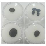 13.45CT SAPPHIRE GAMSTONES