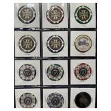 PROMOTIONAL CHIPS (463 C)