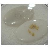 5.19CT OPAL GEMSTONES