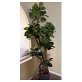 16 - FAUX FIDDLE LEAF FIG TREE 6FT