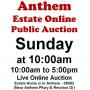Sun.@10am - Anthem Estate Online Public Auction Pt.2 7/12