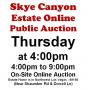 Thur.@4pm - Skye Canyon Estate Online Public Auction 6/25