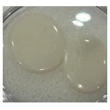 3.45CT OPAL GEMSTONES
