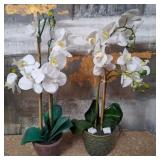 11 - TWO FAUX ORCHID PLANTS (A248)