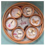 11 - DELICATE BUTTERFLY DISPLAY TRAY