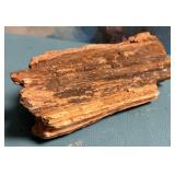 11 - ONE PIECE COLLECTIBLE PETRIFIED WOOD (M50)