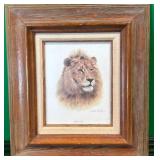 11 - CHARLES FRACE AFRICAN LION ART FRAMED (B144)