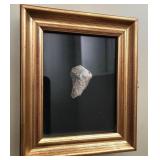 J1 - COLLECTIBLE FOSSIL MOUNTED IN FRAME (B35)