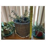 J1 - LOT OF THREE HOUSE PLANTS (M8)