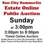 Sun@3pm - Sun City Summerlin 2.0 Estate Online Auction 8/16