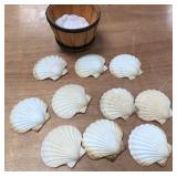 U - COLLECTION OF SHELLS (A85)