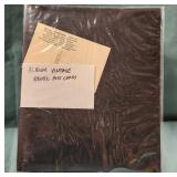 700 - VINTAGE EROTIC POSTCARDS IN ALBUM (E85)