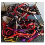 S2 - MIXED LOT OF PET LEASHES & COLLARS (G43)