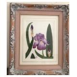 S2 - ZETTA JONES FRAMED ART (R36)