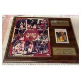 J2 - CHICAGO BULLS WORLD CHAMPION PLAQUE (G150)