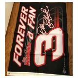 S3 - NASCAR DALE EARNHARDT FOREVER A FAN FLAG