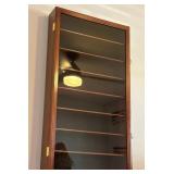 S3 - COLLECTIBLE HOCKEY PUCK DISPLAY CABINET (B76)